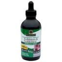Natures Answer Alcohol Free Echinacea and Goldenseal Extract, 4 Ounce