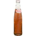 Sidral Mundet Apple flavored Soda, 12 Ounce -- 24 per case