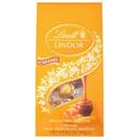 Lindt Lindor Caramel Milk Chocolate Candy Truffles, 8.5 Ounce Bag -- 6 per case