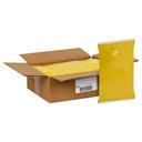 Heinz Mustard, 0.75 Gallon -- 2 per case.