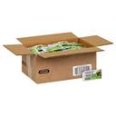 Dressing Kraft Ranch Fat Free Pouch 200 Case 0.44  Ounce Each