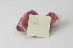 Product thumb gallery 2255557