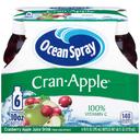 Ocean Spray 10 Ounce Cranberry Apple Juice Drink, 6 count per pack -- 4 per case.