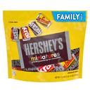 Hersheys Miniatures Assorted Chocolate Candy - Family Pack, 17.6 Ounce Stand Up Bag -- 16 per case
