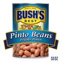 Bushs Best Pinto Beans, 53 Ounce -- 6 per case