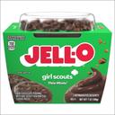 Jell-O Thin Mint Pudding Snack, 7 Ounce - 6 per case