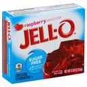 Jello Sugar Free Raspberry Gelatin,  .3 Ounce -- 24 Case