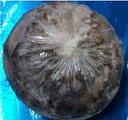 Oyster Bay Cleaned Premium Quality Individually Poly Wrapped Whole Octopus, 30 Pound