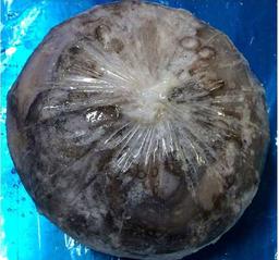 Product thumb gallery 2247880