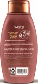 Aveeno Blackberry and Quinoa Blend Conditioner, 354 Milliliter -- 4 per case.