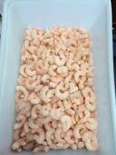 Frozen Seafood Cooked Tail Off White Shrimp, 2 Pound -- 5 per case.