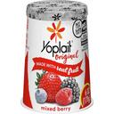 Yoplait Original Mixed Berry Yogurt, 6 Ounce -- 12 per case
