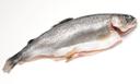 Clear Springs Dressed Rainbow Trout, 12 Ounce.