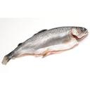 Riverence Provisions 9 to 11 Ounce Boned Trout, 10 Pound