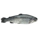 Riverence Provisions 11 to 13 Ounce Boned Trout, 10 Pound