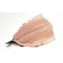 Clear Springs Pin Bone Out Boned Head Removed 8 Ounce Rainbow Trout, 10 Pound