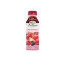 Bolthouse Farms Red Goodness Fruit Juice Smoothie, 15.2 Fluid Ounce -- 6 per case