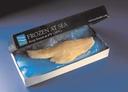 Frozen At Sea Face Haddock Fillet, 10 to 20 Ounce of 64-77 Pieces Per Box, 12 Pound -- 4 per case.