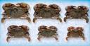 Handy Soft Shell Wild Caught Jumbo Crab, 3.5 Ounce -- 48 per case.