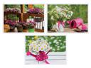 Hoffmaster 3 Designs Pretty Pink Garden Paper Placemat -- 1000 per case.