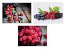 Hoffmaster 3 Designs Berry Delight Paper Placemat, 10 x 14 inch -- 1000 per case.