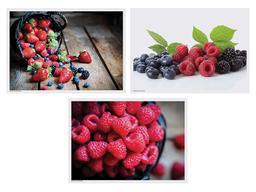 Product thumb gallery 1619906