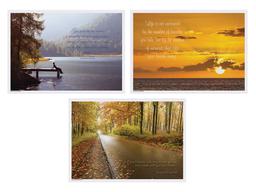 Product thumb gallery 1619903