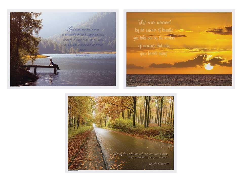Product gallery 1619903