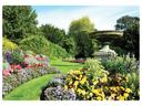 Hoffmaster English Garden Paper Placemat, 9.75 x 14 inch -- 1000 per case.