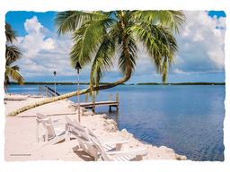 Product thumb gallery 1621526