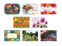 Hoffmaster Spring Seasonal Occasions Paper Placemat, 9.75 x 14 inch -- 1000 per case.