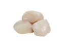 Marquis 40/60 Count Scallops, 5 Pound -- 2 per case.