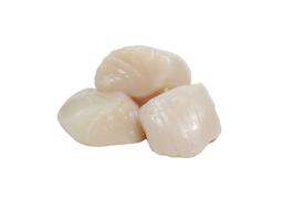 Product thumb gallery 1557077