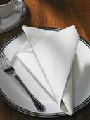 Hoffmaster FashnPoint Flat Pack White Point To Point Embossed Ultra Ply Napkin, 15.5 x 15.5 inch -- 1000 per case.