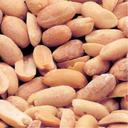 Azar Nut Salted Dry Roasted Peanut, 3.5 Pound -- 6 per case