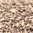 Azar Nuts Sunflower Kernels Or/S, 2 Pound -- 3 Bag per case