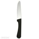 Oneida Laredo Steak Knife -- 12 per case