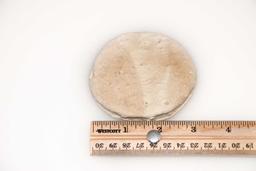 Product thumb gallery 1109448