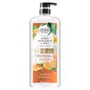 Herbal Essences Bio Renew White Grapefruit and Mosa Mint Naked Volume Shampoo, 20.2 Fluid Ounce -- 4 per case