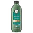 Herbal Essences Aloe Plus Eucalyptus Sulfate Free Scalp Balance Shampoo, 400 Milliliter -- 6 per case