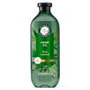 Herbal Essences Hemp Oil Sulfate Free Frizz Control Shampoo, 600 Milliliter -- 4 per case