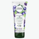 Herbal Essences Strong Hold Curl Scrunching Gel with Frizz Control, 6 Ounce -- 12 per case