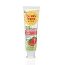 Burts Bees Strawberry Splash Fluoride Toothpaste for Kids, 4.70 Ounce -- 12 per case