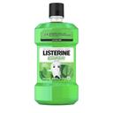 Listerine Smart Rinse Mint Shield Fluoride Mouthwash for Kids, 16.9 Fluid Ounce -- 6 per case