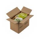 Big Train Dragonfly Honeydew Blended Creme Frappe Mix, 3.5 Pound -- 5 per case.