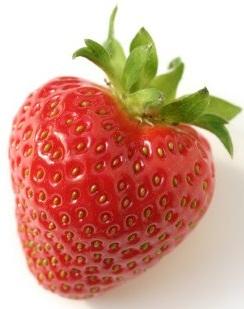 Product thumb gallery 1091001