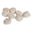 Frozen Seafood Fresh Dry Scallop - 20/30, 5 Pound -- 2 per case.
