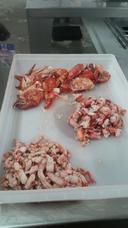 Frozen Seafood Lobster Claws Knuckle and Leg Meat, 2 Pound -- 6 per case.