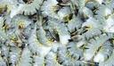 Frozen Seafood 21/25 Count Shell On Black Tiger Shrimp, 4 Pound -- 6 per case.