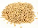 Commodity Beans Pearl Bean Barley, 25 Pound Bag